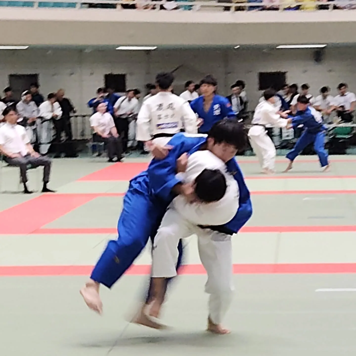全日本学生柔道体重別選手権大会に、母校松山大学から2名が出場...